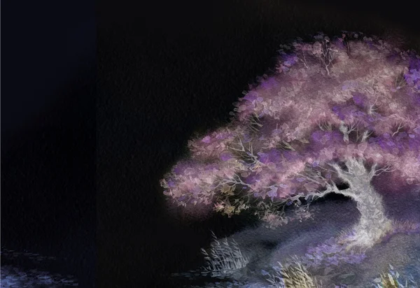 Fondo nocturno con árbol de primavera en el lago —  Fotos de Stock