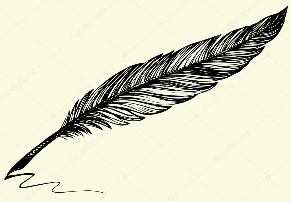 Learn To Draw This Beautiful Bird Feather - Easy Simple Cartoon  Illustration Tutorial For Kids - Rainbow Printables