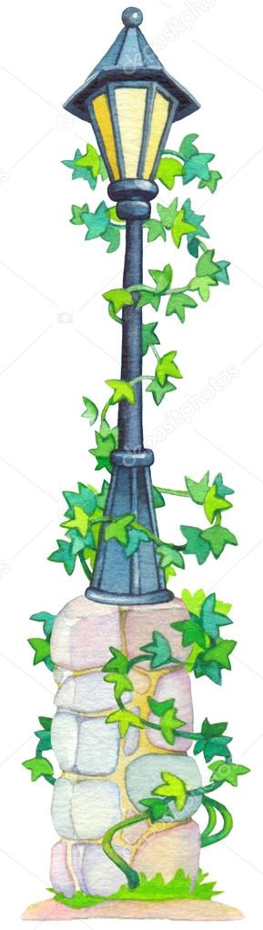 Watercolor illustration. Antique lantern ivy vine entwined