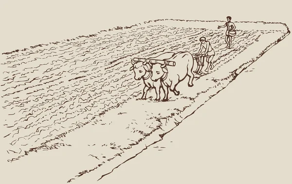 Dibujo vectorial. Agricultura primitiva. Campesinos tratados campo — Vector de stock