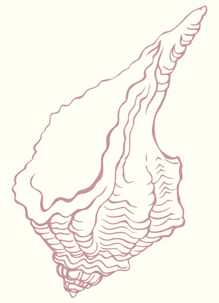 Vetor desenho ondulado concha —  Vetores de Stock