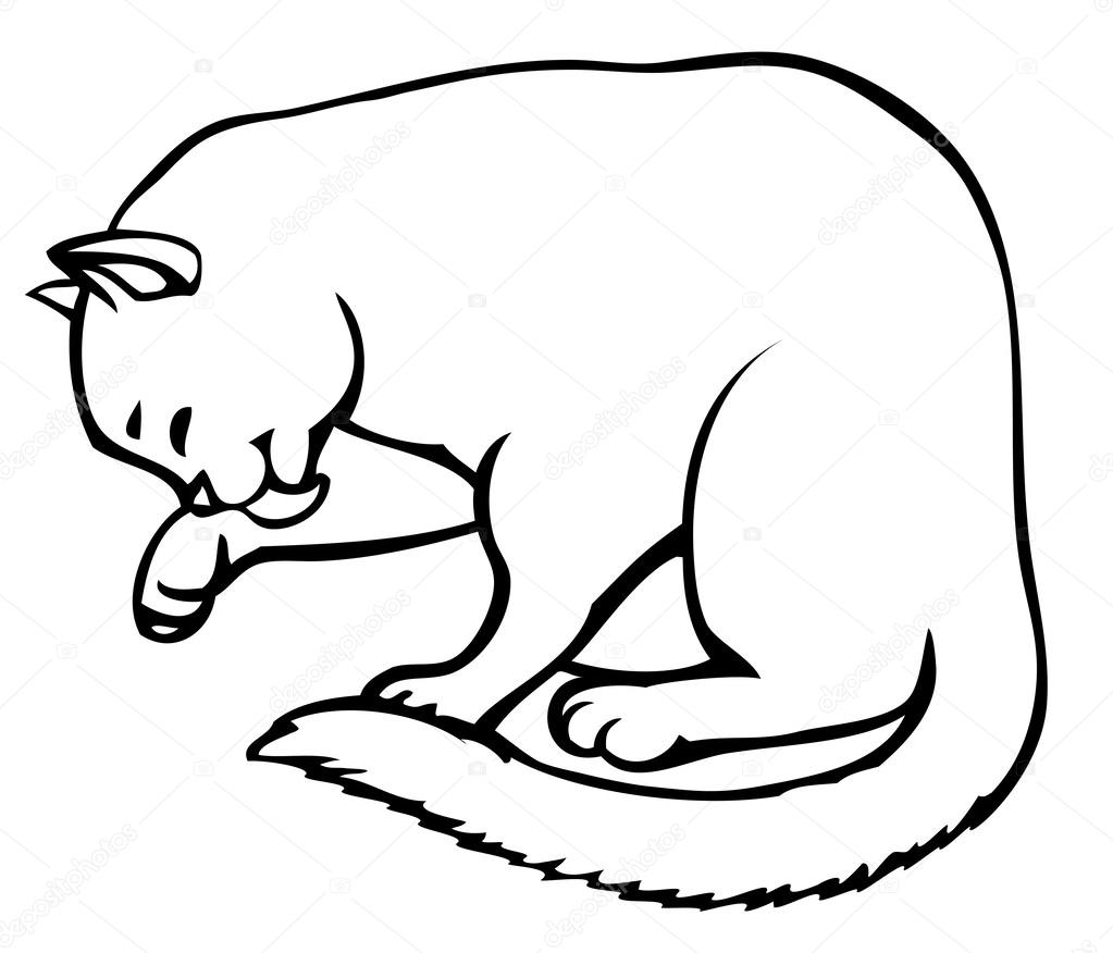 Vector linear drawing. Cute kitten carefully washes