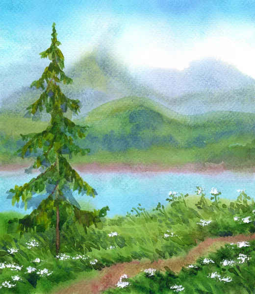 Akvarell táj. Lucfenyő a nyom-ra egy domb közelében — Stock Fotó