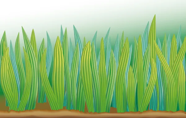 Fond vectoriel avec herbe vert vif — Image vectorielle