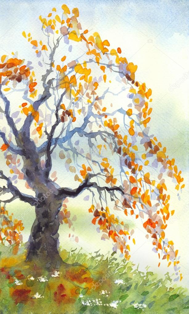 Watercolor landscape. Old autumn tree in foggy day