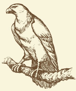seri çizim vektör 