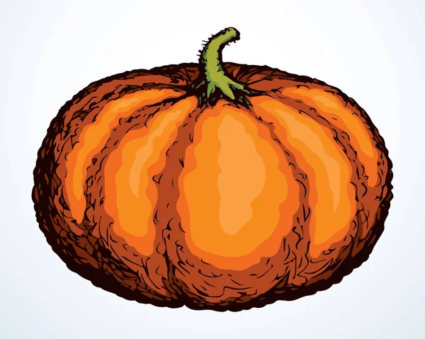 Esquema Color Naranja Brillante Dibujado Mano Bio Salud Ecológica Veggi — Archivo Imágenes Vectoriales