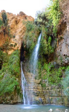 Orta Doğu Arap manzaralı bir gün. Saf mavi vadi, İncil vadisi. Hızlı hareket eden kurak sahil. İncil 'de geçen Arap Yahudisi İsrail' in Golan toprakları Wadi Negev rezervi mağara yeşil çalı ağacı sahili sahnesi
