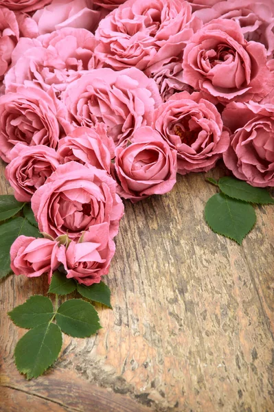 Vibrant Beautiful Romantic Elegant Fresh Crimson Flowerheads Leaves Mother Day — Stock Photo, Image