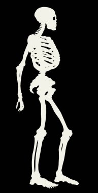 Antika sağlıklı yetişkin erkek figürü omurga elementinin beyaz metin alanı vardır. Eskimiş yüz çizilmiş eski yüz parçası organ logosu amblem işareti eskimiş antik sanat eserleri yan görünüm