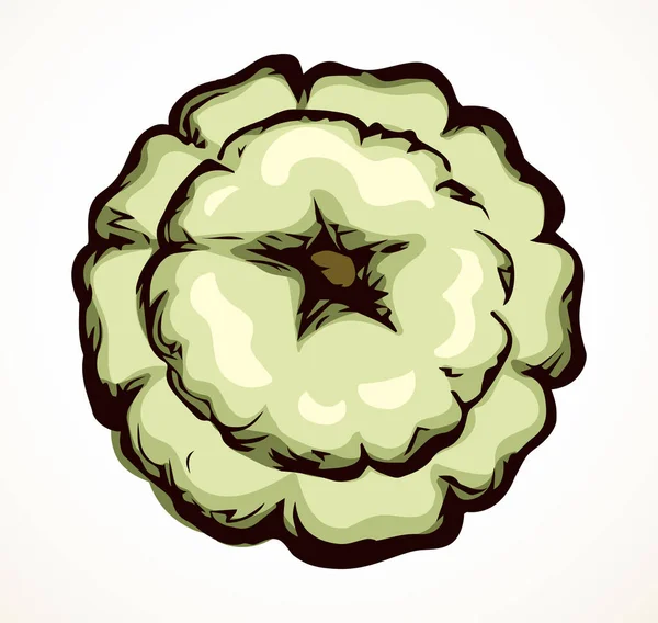 Крупный План Милый Спелый Зеленый Зеленый Вегетарианский Маленький Бутон Установить — стоковый вектор