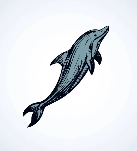 Wielka Zabawa Wesoły Wyłom Cetacean Lekkim Tle Zarys Ciemny Tusz — Wektor stockowy
