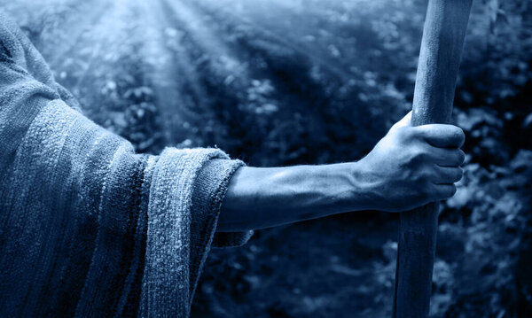 Closeup dark black retro magic muslim history age rustic rural elder human sheep herd wood arm finger devote worker saint prayer John baptist. Holy king Lord wander baby birth pray star hope story rod