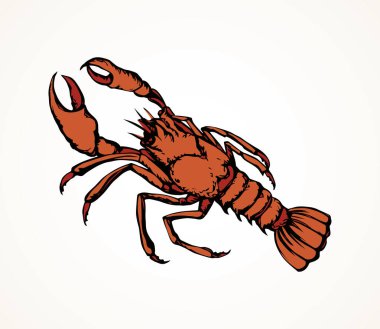 Big old red anthropod panulirus mudbug set isolated on white background. Bright orange color hand drawn logo pictogram sketchy in art cartoon retro style. Closeup view with space for text clipart