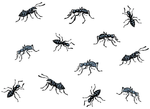 Lote Formicidae Eusocial Escuro Cinza Claro Afeiçoado Tinta Linear Mão — Vetor de Stock
