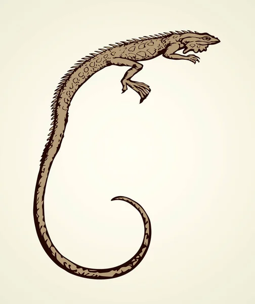 Reptiles Viejos Escamosos Lacertilia Mascota Aislada Sobre Fondo Blanco Tinta — Archivo Imágenes Vectoriales