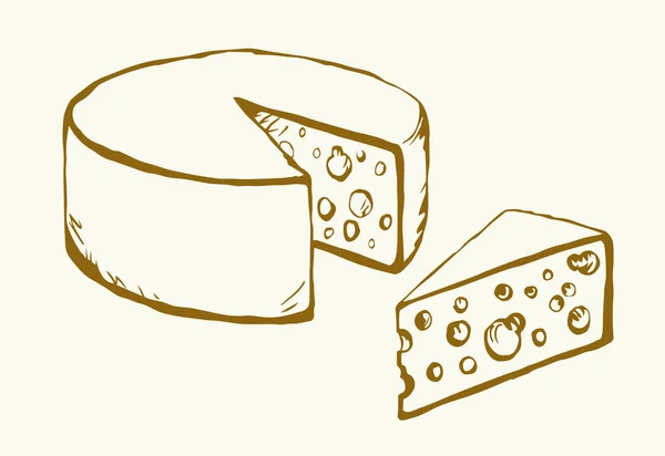 Lekker Gezond Vet Hollands Brie Segment Lichte Achtergrond Freehand Outline — Stockvector