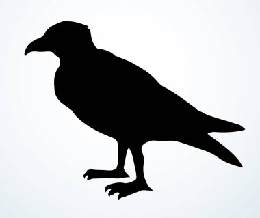 Koyu mürekkep kalemle çizilmiş Corvidae Corone kuyruk tüyü amblemi tasarımı. Retro sanat karalama kalem çizgi film baskı tarzı. Yakın görünüm hafif kağıt eski büyük göl büyük bacak resim gökyüzü metin uzayı
