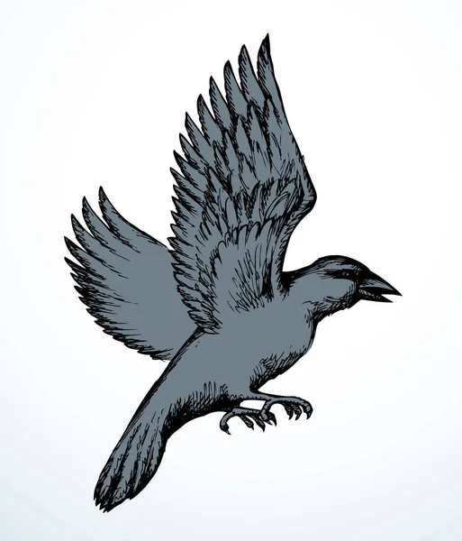 Σκούρο Μελάνι Στυλό Χέρι Ζωολογικό Corvidae Corone Ουρά Φτερό Έμβλημα — Διανυσματικό Αρχείο
