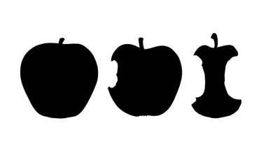 Parlak el çiğ botanik amblemi çizdi Pictogram tasarım retro çizim çizim tarzı. Yakın plan biyoeko tatlı sağlık vejetaryen sonbahar tohumu tohumu ekme çöpü bitki örtüsü büyüme metni arkaplanı