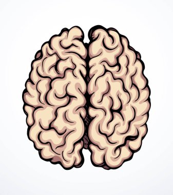 Sağlıklı nöron, ışık arkaplanındaki mantık kısmını hisseder. Çizgi siyah mürekkep eli, sinir korteksi, beyin beyin logosu ve karalama sanatı retro karikatür tarzında resim çizimi çizdi. Yan kesit makro görünümü