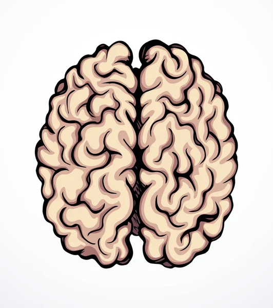 Sağlıklı nöron, ışık arkaplanındaki mantık kısmını hisseder. Çizgi siyah mürekkep eli, sinir korteksi, beyin beyin logosu ve karalama sanatı retro karikatür tarzında resim çizimi çizdi. Yan kesit makro görünümü