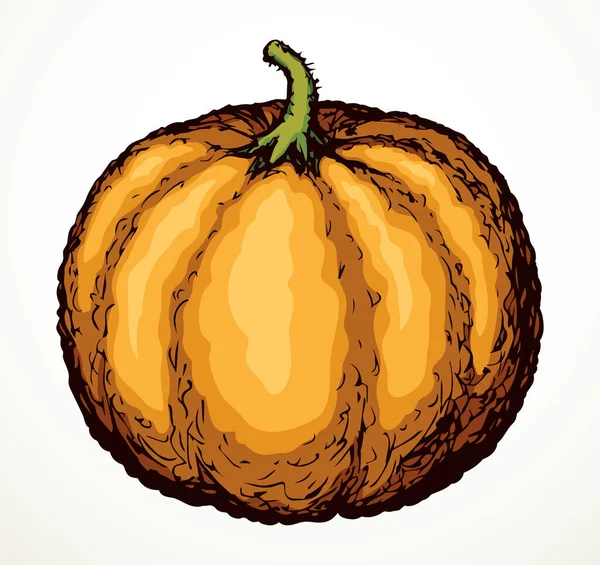 Décrivez Couleur Orange Vif Dessiné Main Bio Eco Santé Veggi — Image vectorielle