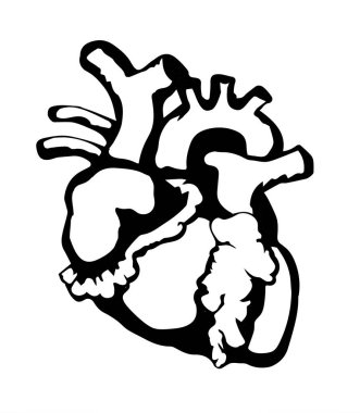 Yakından bakınca, kocaman, şişman adam iç organları beyaz metin arkaplanı. Kırmızı çizgili el çizimi şişman hayvan erkek resim amblemi. Kadın tasarım sanat retro çizgi film baskı tarzı