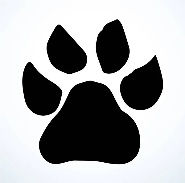 Närbild Topp Detalj Makro Visa Platt Katt Lejon Kitty Stämpel — Stock vektor