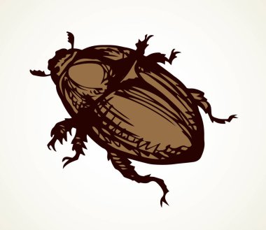 Açık kağıda yazılı arkaplanda tatlı bir kadın kavunzarı. Serbest doğrusal koyu kahverengi mürekkep el çizimi resim amblemi. Sanat eskiz yazdırma stili. Mikro detay görünümünü kapat