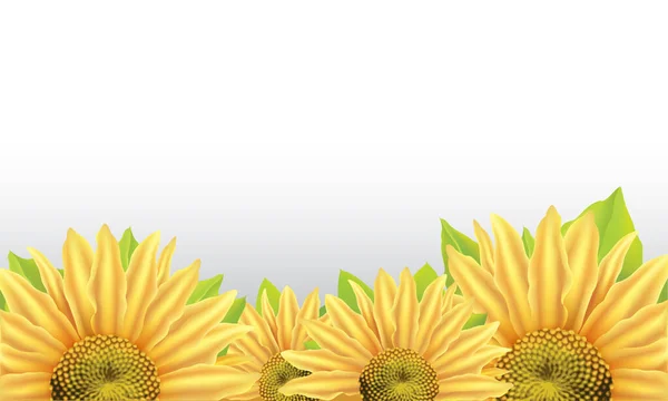 Mignon Grande Beauté Nouvelle Couleur Orangée Vibrante Marguerite Fleurie Scène — Image vectorielle