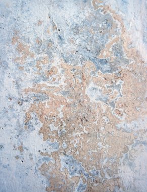 Makro detayı kapat. Antik çağ açık gri kabuğu tehlikeli mantar sporu tahıl ev tavanı. Boş antika katı taş zemin kirli çatlak kirli çit kusurlu metin alanı