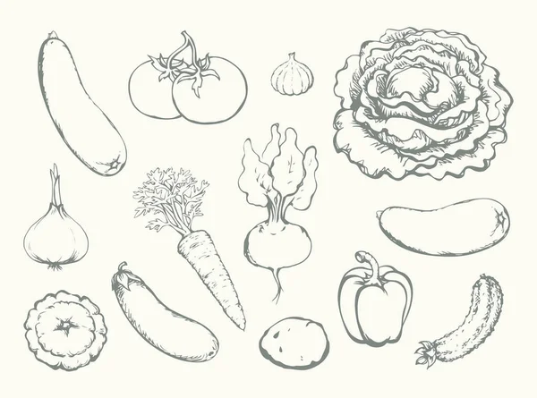 Olgun çiğ biyo-eko yaz diyeti vejetaryen mutfak mutfağı aşçısı. Siyah el çizilmiş botanik çiftliği sebzesi tüp kafa bitkisi logosu simge simgesi klasik beyaz sanat karalama çizgisi çizgi film stili