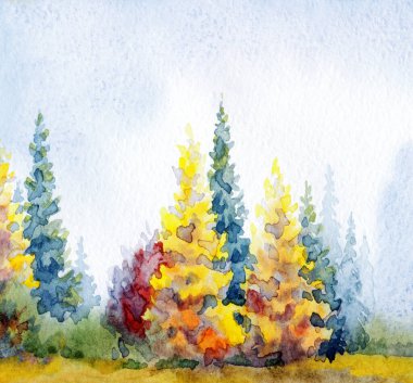 El çizimi suluboya resim beyaz kağıt desenli metin arkaplanı çizimi. Islak sis günü manzaralı bulutlu sis manzarası. Parlak kırmızı turuncu renk yabani tayga otlar kara akrilik Rusya manzarası