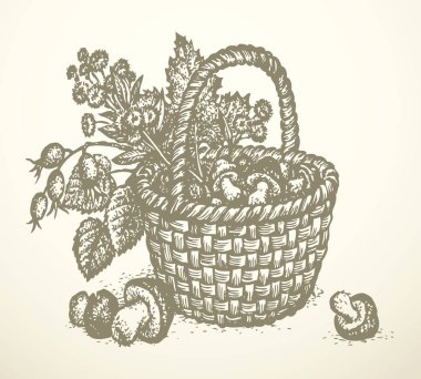 Ana hatları siyah mürekkep çizen el, antika, kaba baston dalı örgü, cep çanağı, bast logosu antik karalama kalem karikatür sanat eserini kabartma stili. Yakın plan, beyaz metin alanı arkaplanı