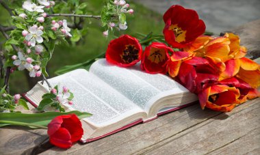 Grunge age dirty worn rough pray white desk space. God prayer holy joy happy gospel culture literary bright glow sun light love fresh apple tree plant branch red bloom bud gift art still life concept