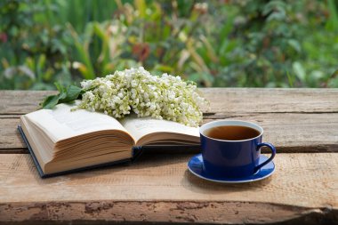 Grunge Age antika parkı abur cubur yer sıcak yemek aromalı baro masası masa kâğıt alanı. Mutlu Arap kültürü güneş ışığı taze bitki tomurcuğu yeşil ot yaprağı dinlenme kutsal kitap sanatı hala hayat