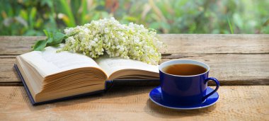 Grunge Age antika parkı abur cubur yer sıcak yemek aromalı baro masası masa kâğıt alanı. Mutlu Arap kültürü güneş ışığı taze bitki tomurcuğu yeşil ot yaprağı dinlenme kutsal kitap sanatı hala hayat