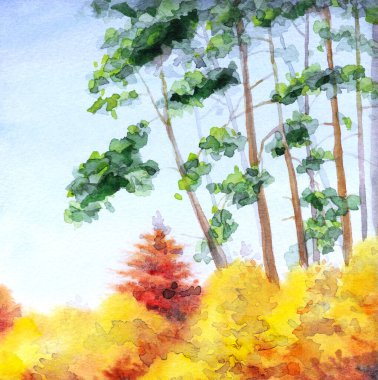 Elle çizilmiş eski yeşil bahçe koruluğu çayırlık patika yol boyunca yol boyunca kağıt metin alanı. Parlak neşe güneşli, güneşli bahar günü eskiz stili kırsal seyahat uzun sedir ladini köknar ağacı manzaralı.