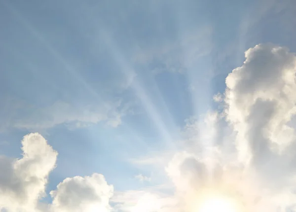 Primavera Primer Plano Claro Lluvia Alta Nebulosa Día Escena Azul — Foto de Stock