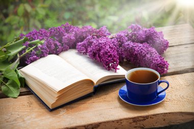 Grunge Age antika parkı abur cubur yer sıcak yemek aromalı baro masası masa kâğıt alanı. Mutlu Arap kültürü güneş ışığı taze bitki tomurcuğu yeşil ot yaprağı dinlenme kutsal kitap sanatı hala hayat