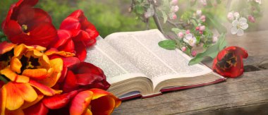 Grunge age dirty worn rough pray white desk space. God prayer holy joy happy gospel culture literary bright glow sun light love fresh apple tree plant branch red bloom bud gift art still life concept