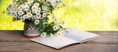 Eski çağlardan kalma kırsal sanat eseri, ot, güneş ışığı, bar tezgahındaki tezgah, metin kopyalama alanı. Neşeli aşk rahatla parlak çiçek tomurcukları dekoru eko günü kartı manzaralı pankartı kapat