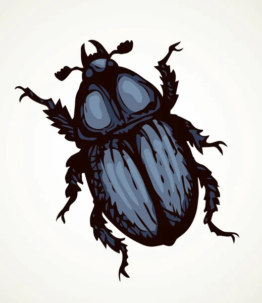 Lindo Melolonthinae Hembra Fondo Del Espacio Texto Papel Ligero Freehand — Vector de stock