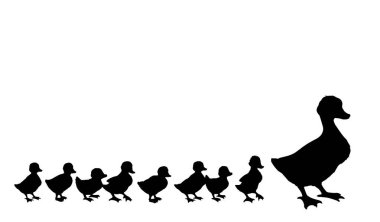 Yakından bakınca sevimli nehir gölü annesi Branta cygnus gaggle Cub row 'u koruyor beyaz metin alanı ayarlıyor. Siyah el çizilmiş genç pofuduk drake fauna go zoo road logosu antika köy çizgisi sanat tarzı