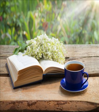 Grunge Age antika parkı abur cubur yer sıcak yemek aromalı baro masası masa kâğıt alanı. Mutlu Arap kültürü güneş ışığı taze bitki tomurcuğu yeşil ot yaprağı dinlenme kutsal kitap sanatı hala hayat