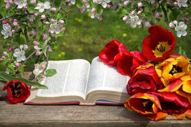 Grunge age dirty worn rough pray white desk space. God prayer holy joy happy gospel culture literary bright glow sun light love fresh apple tree plant branch red bloom bud gift art still life concept