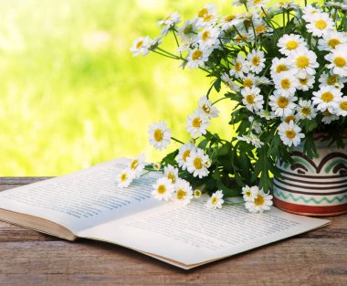 Eski çağlardan kalma kırsal sanat eseri, ot, güneş ışığı, bar tezgahındaki tezgah, metin kopyalama alanı. Neşeli aşk rahatla parlak çiçek tomurcukları dekoru eko günü kartı manzaralı pankartı kapat