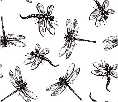 Arka planda büyük şirin bir anizoptera. Koyu gri renkli el çizimi logo resimli tasarım eskimiş sanatsal karalama dış hatları kağıt üzerine oyma stili kalem. Ayrıntılı görünümü kapat