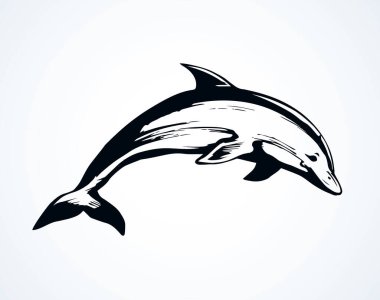 Büyük eğlenceli neşeli deniz ihlali ışık zemin üzerinde. Karanlık mürekkep el çizilen komik evde beslenen hayvan piktogram Logo Amblem kağıt alanı metin için kontur yazdırma stilini gravür sanat retro. Yan görünüm